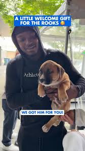 Seattle Seahawks (@seahawks) • Instagram photos and videos