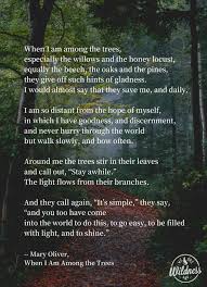 Pin By Emily Mullins On Making A Deep Mental Path Nature Quotes Trees Nature Quotes Nature Poem
