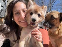 Guess the breed Saw this trend and wanted to join in lol Edit: people got  the answer the fast. So here are some photos of my cat dog.