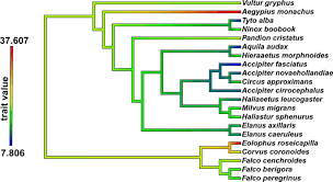 Emu helps construction professionals learn passive house building with trainings, consulting services, and standardized systems. Raptor Talon Shape And Biomechanical Performance Are Controlled By Relative Prey Size But Not By Allometry Scientific Reports