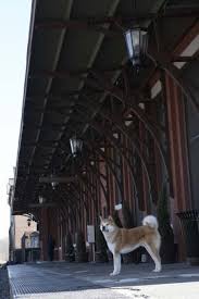 Richard gere, sarah roemer, joan allen vb. Watch Hachi A Dog S Tale On Netflix Today Netflixmovies Com