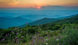 Whimsical White Lotus Yoga Retreat 2026