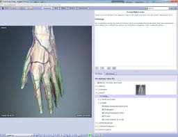 Explore this best anatomy apps and websites for students top learning anatomy and physiology can be tough for students, especially at higher levels; Anatomy Apps On Tap