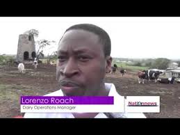 The Banks Holdings Limited