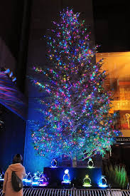 Gemerlap Pohon Natal Jumbo Mikimoto Ginza Puramoz Shared