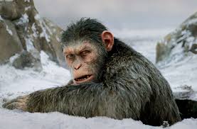 With andy serkis, woody harrelson, steve zahn, karin konoval. Kinokritik Zu Planet Der Affen Survival Der Letzte Kampf Kultur Stuttgarter Nachrichten