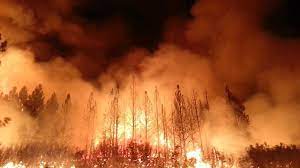 We did not find results for: Incendios Na California Sinalizam Chegada Do Piroceno A Era Do Fogo Revista Galileu Meio Ambiente