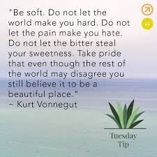 Be Soft Do Not Let The World Make You Hard Ghim Tren Inspiration And Other Junk