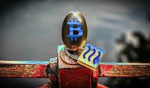 Which is the better investment for you? Former Imf Chief Economist Says Bitcoin Similar To Gold Predicts Digital Assets Will Transform Financial System The Daily Hodl