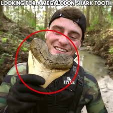 Huge tooth found 🦷