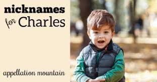 These vampire names and their meanings make for interesting fantasy character names for male and female vampires. Ten Unexpected Nicknames For Charles Appellation Mountain
