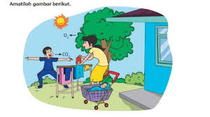 Kunci jawaban tematik kelas 2 tema 2 subtema 3 pembelajaran 4 halaman 140, halaman 141, halaman 142, halaman 143, halaman 145, ha. Kunci Jawaban Tema 2 Kelas 4 Halaman 2 Sumber Energi Apa Saja Manfaat Matahari Bagi Keluarga Tersebut