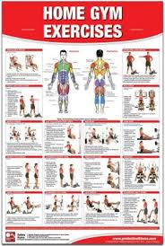 home gym exercises wall chart universal equipment