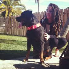 (@STARS_X_16)  Posts  X