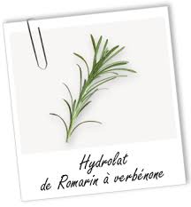 Hydrolat Romarin A Verbenone Bio Aroma Zone Hydrolat Romarin Verbenone Romarin