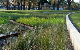Rain Garden Australia In 2020 Rain Garden Design Rain Garden Landscape Drainage