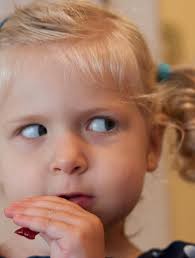 The Saul Rubin Mulch Pile lives on... Suburban domestic bliss is what  privileged, angst-ridden artists are supposed to rail against. Yet it was  always a goal of mine. In my 20s it