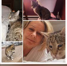 What are some recommendations for a rental with a private host or air b&b  in Antigua with a sea view or