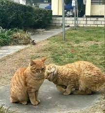 Ôi bạn dỗi mình à 😌 Đúng kiểu đã hay cáu còn gặp đc thằg ny nhăn nhở