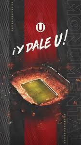 Download free deportes tolima vector logo and icons in ai, eps, cdr, svg, png formats. Milf Deporte Cuarentona Leggins Mamita Milfrose Hd Mobile Wallpaper Peakpx