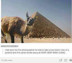 See an example of implementing a rest api with apache camel and spring boot. Derp Album On Imgur