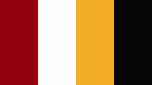 Ai, png file size : Dynamo Dresden Logo Color Scheme Brand And Logo Schemecolor Com