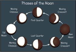 Oreo Moon Phase Project Do It And How
