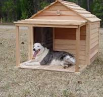 Large Dog House
