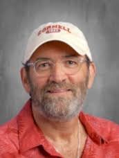 Mental Health Services