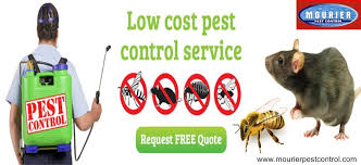 Best natural pest control option: Pest Control Mourier Pest Control