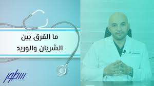 ما الفرق بين الشريان والوريد Youtube