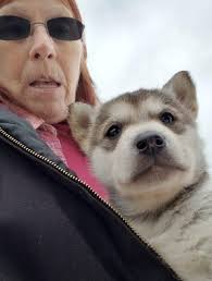 Throwback Thursday! it's nearly the weekend! let's see some photos 📸 of  your dogs from this week!