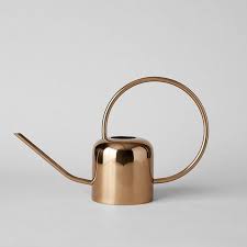 Copper Watering Can Watering Can Low Light Plants Watering