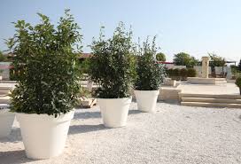 Pot Xxl Exterieur Grande Taille En Beton Prefabrique Lisse Modele Rond Toscane Jardin En Beton Pot Jardin Amenagement Jardin
