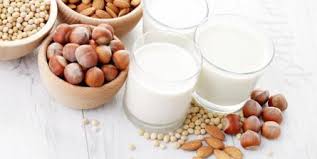 Seignalet Paleo Laitages Les Alternatives Sans Lactose Ni Caseine Thierry Souccar Editions
