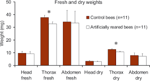 The full weights on a digital scale were 44.2, 44.7 and 44.4 pounds each. Fresh Weight And Dry Weight Of The Head Thorax And Abdomen Of Download Scientific Diagram
