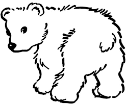 Download and print these little bear coloring pages for free. Little Baby Bear Coloring Page Netart