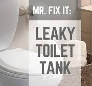 HOW TO | Fix a Leaky Toilet Tank: Nuts & Bolts