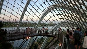 Gardens by the bay admission prices can vary. Singapore Gardens By The Bay Cloud Forest Dome Visions Of Travel