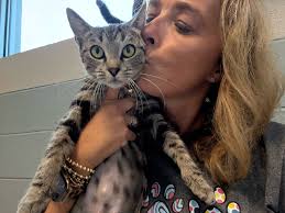 🚨 New Georgia Law Effective July 1, 2025 🚨 🚨 Please share so everyone is  informed. 🚨 AlarmNueva ley de Georgia a partir del 1 de julio de 2025 🚨  Por favor, comparte para que todos estén informados.