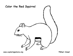 However, don't forget to scroll further down on this page because we have a few more fun coloring pages featuring ryan's world. Squirrel Red Coloring Page