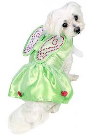 Bei tinker bell handelt es sich um einen die tinkerbell verkleidung ist zwar gleichzeitig ein waldfee kostüm, trotzdem ist aber eine waldfee nicht gleich. Susse Tinkerbell Kostume Party De