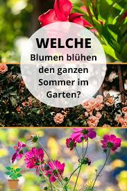 Welche Blumen Bluhen Den Ganzen Sommer Im Garten Blumen Schone Blumen Garten