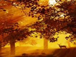 Clannad Harry S Game Youtube Just A Great Song From Clannad Sung In Irish Genre World Music Celtic Irish Clannad World Music Popular Music