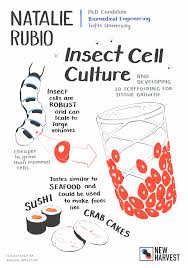 We did not find results for: Insect Cell Culture