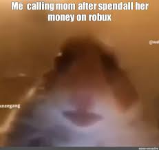 Somics Meme The Hamster Looks At The Camera Hamster Meme Memes Hamster Comics Meme Arsenal Com