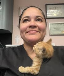 Experienced Veterinarians