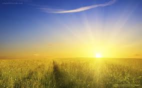 Image result for sunshine images free