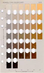 10 year page munsell color chart coffee according to