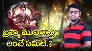 Provide the birth information like birth date, birth time & birth location at checkout page section. How To Find Shanthi Muhurtham Time